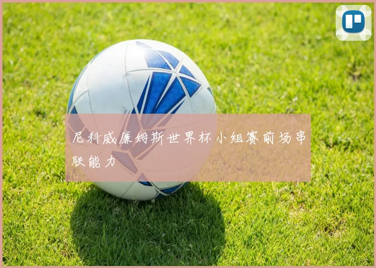 尼科威廉姆斯世界杯小组赛前场串联能力