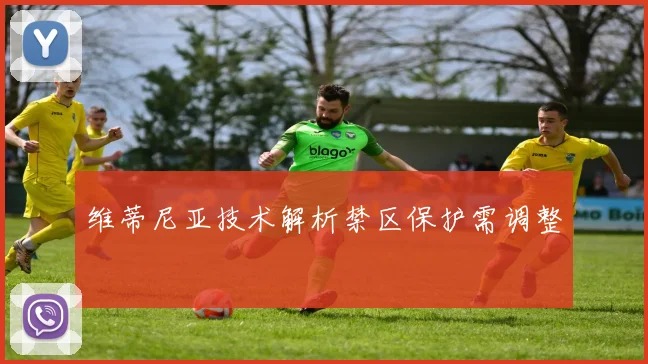 维蒂尼亚技术解析禁区保护需调整