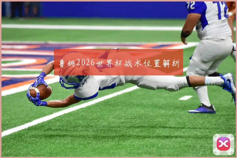 鲁姆2026世界杯战术位置解析