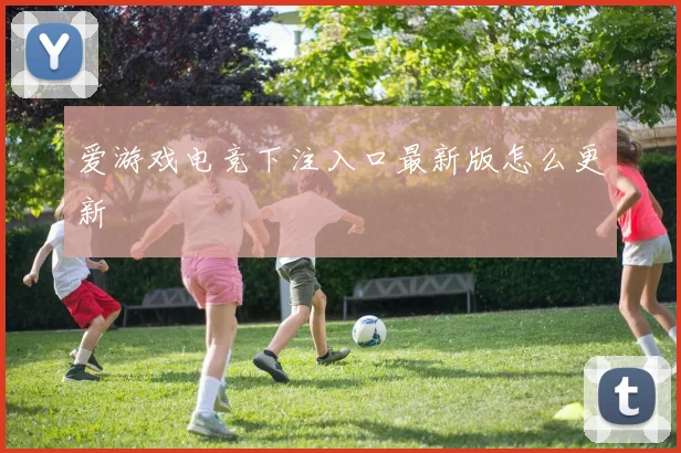 爱游戏电竞下注入口最新版怎么更新