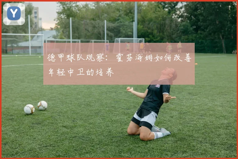 德甲球队观察：霍芬海姆如何改善年轻中卫的培养