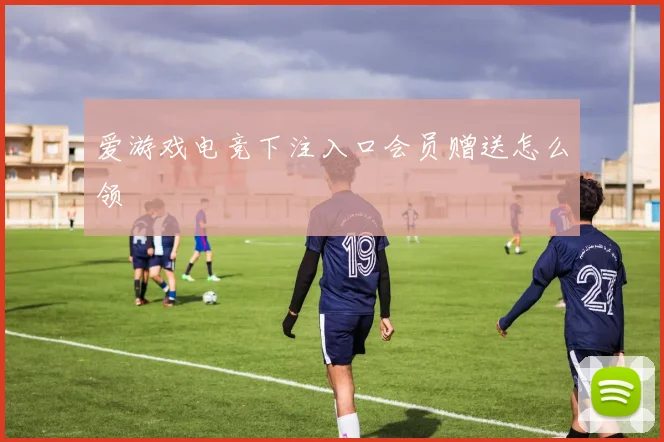 爱游戏电竞下注入口会员赠送怎么领