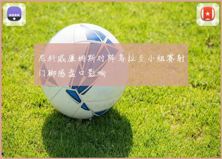 尼科威廉姆斯对阵乌拉圭小组赛射门脚感盘口影响