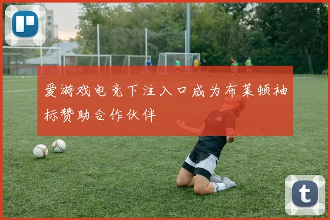 爱游戏电竞下注入口成为布莱顿袖标赞助合作伙伴