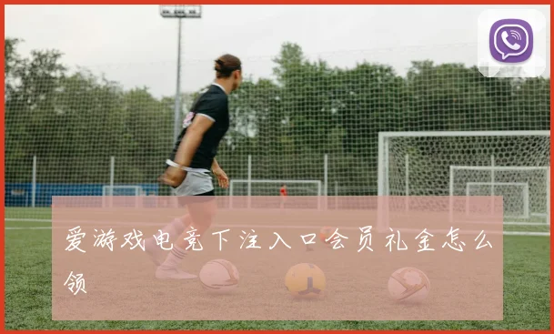 爱游戏电竞下注入口会员礼金怎么领