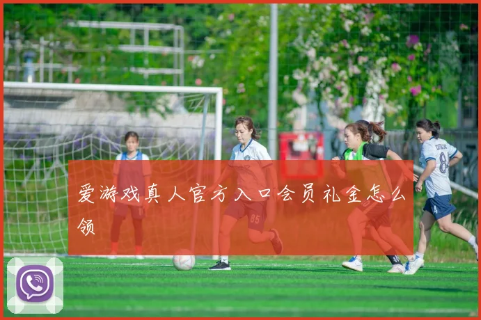 爱游戏真人官方入口会员礼金怎么领