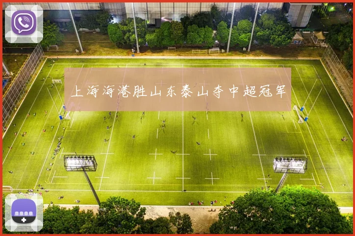 上海海港胜山东泰山夺中超冠军